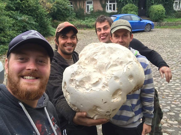 vatovec obrovský Calvatia gigantea (Batsch) Lloyd