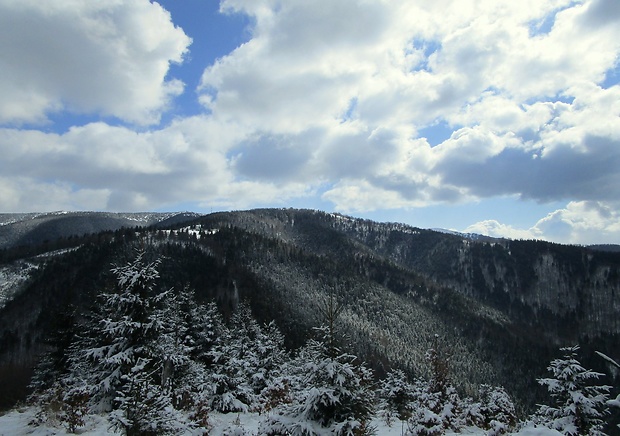 Lúčanská Malá Fatra z vrchu Kobylie