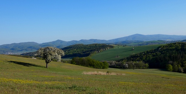 biele karpaty - Považský Inovec