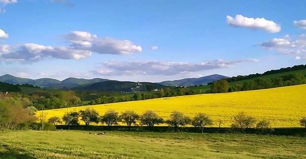 Trenčiansky hrad