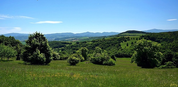 Dolná Súča