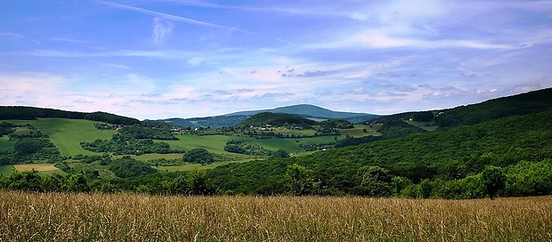 Zábudišová - miestna časť obce Bošáca