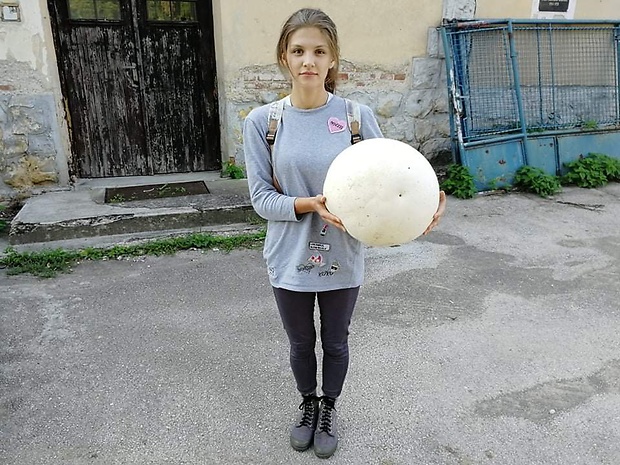 vatovec obrovský Calvatia gigantea (Batsch) Lloyd