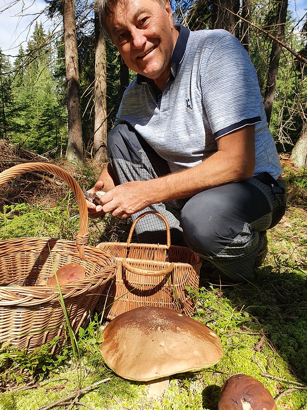 neidentifikovaná huba