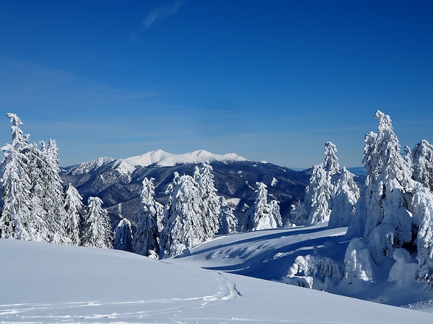 Malá Fatra z Martiniek