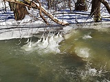 cencúľe nad Sekierskym potokom 1