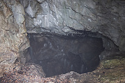 jaskyňa Klenová - zimujúci podkovár malý
