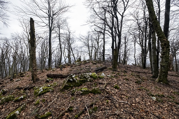 vrchol kopca Havranica