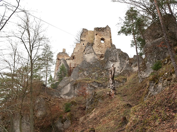 Hričovský hrad