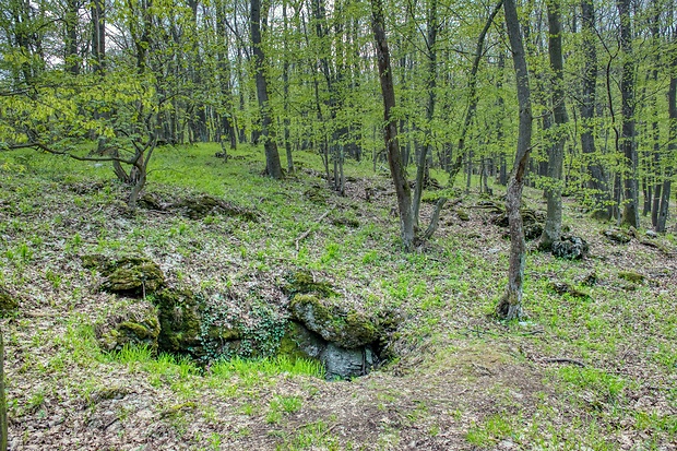 jaskyňa Puklina pod orechom