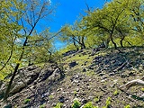 skalné bralo pod kopcom Mešťanková