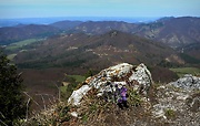 poniklec slovenský - biotop