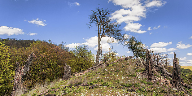 Snežný vrch