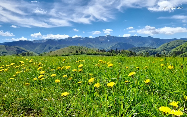 Malá Fatra