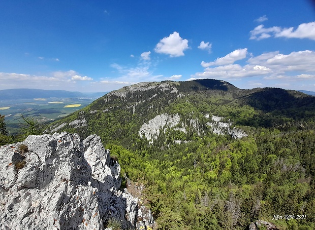 Tlstá z Ostréj