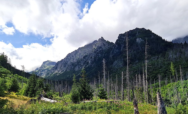 Vysoké tatry