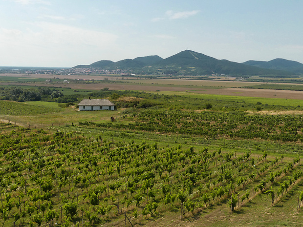 Región Tokaj