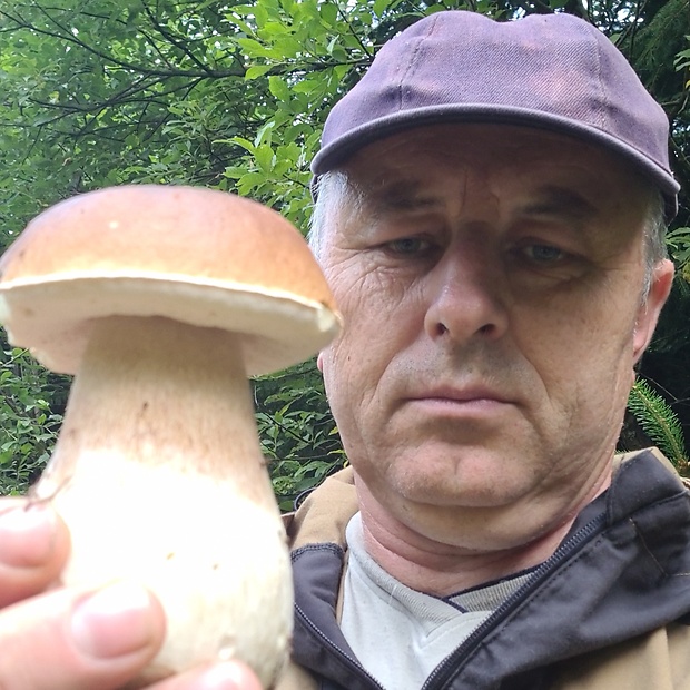 hríb dubový Boletus reticulatus Schaeff.