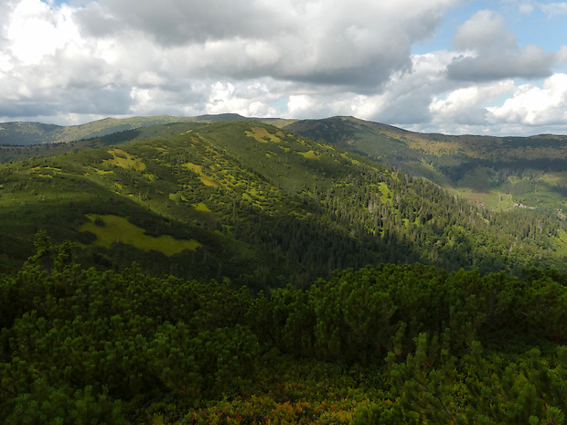 Ondrejská hoľa