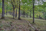 prírodná rezervácia Kamenec