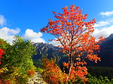 Vysoké Tatry