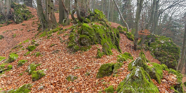 Veľký Manín