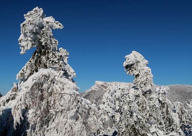 pohľad na Kľak z Reváňa 1205m