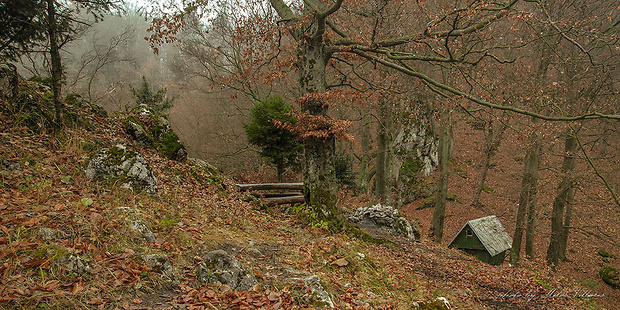 Veľký Manín