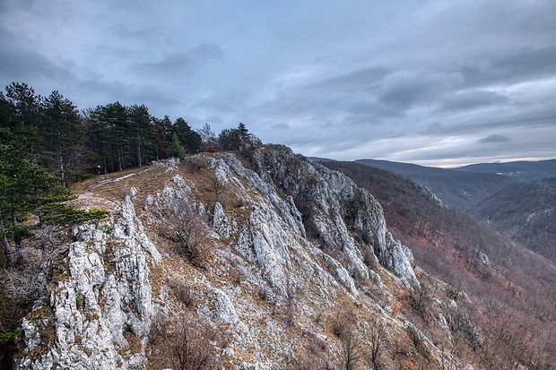 bralo Kršlenice