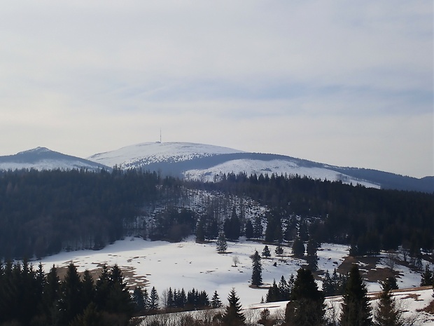 Pohľad z Besníka na Kráľovú hoľu
