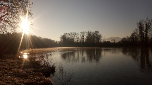 dobre ránko Ontárko 6:30 hod, vzduch -2°C, voda +5,8°C, plávanie cez 250 m