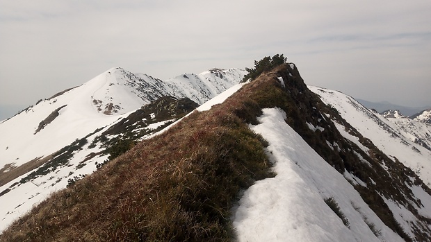 Malý Fatranský Kriváň 1671 m.n.m. zo stúpania za Bublenom