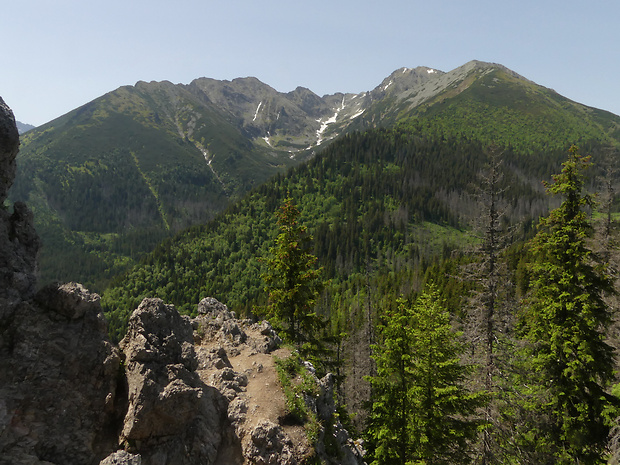 Pohľad z Gesia Szyja ( 1490 m.n.m )