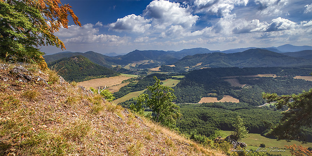 Vlčinec