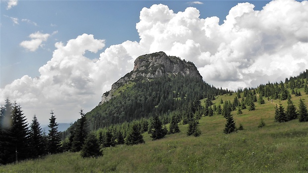 Malý Rozsutec (1343m)