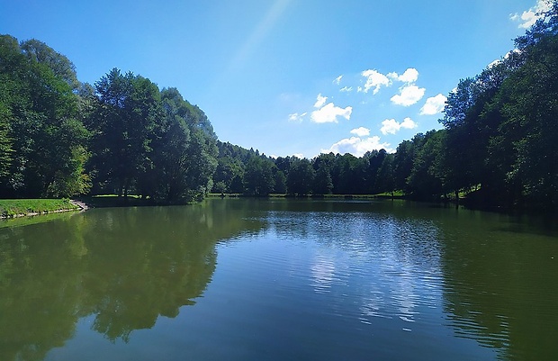 Rybník Javorec Acer pond