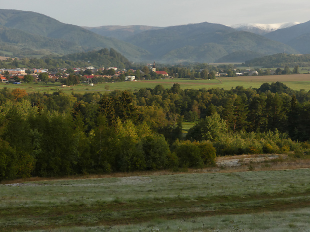 Ráno nad Predajnou