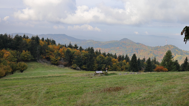 predné rosniarky, Paradajs, Banská Štiavnica