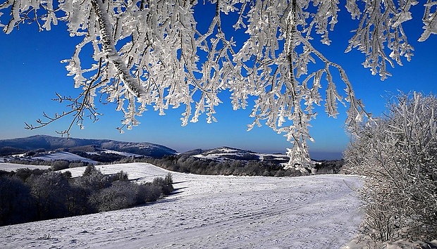 spod Machnáča (771 m n.m.)