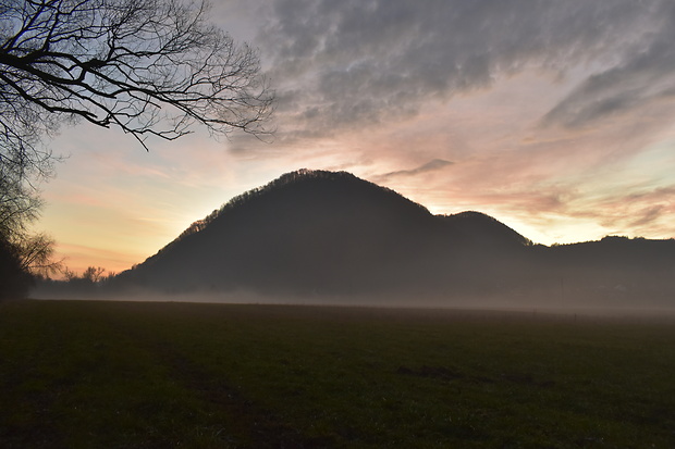 Rochovica