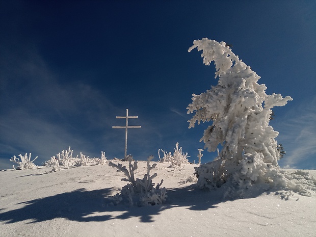 vrch Minčol 1364 m.n.m.