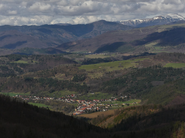 Cestou na Kupcovu poľanu