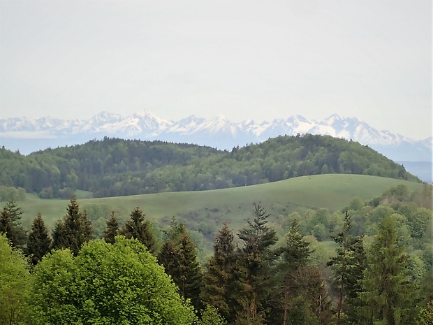 Tatry z Poráča