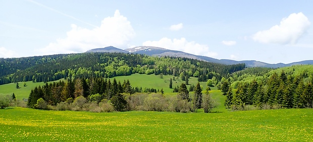 Kráľova hoľa z Besnika