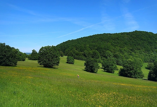 ... na súčanských lúkach