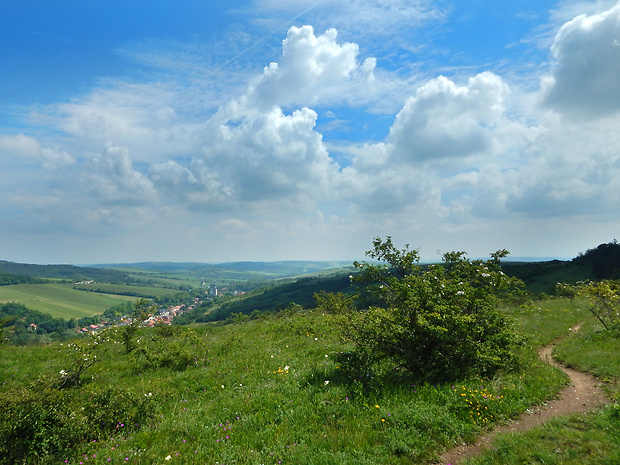 Kamenný vrch u Kurdějova