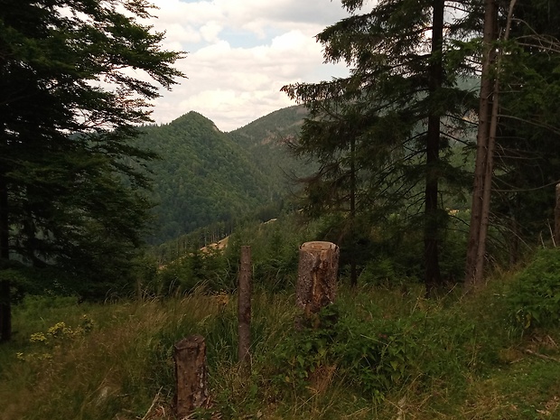 PR Pralesy Slovenska - Skalnatá a vrch Skalnatá  1126 m.n.m. od chaty Sačné 1080 m.n.m.