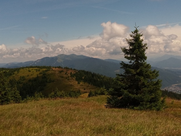 NP Kriváňska Malá Fatra z vrchu Minčol 1364 m.n.m.😃👍💯🇸🇰