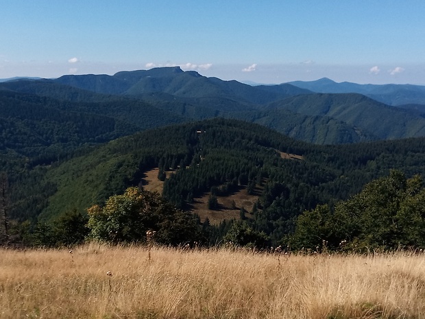 vpredu vrch Úplaz 1085 m.n.m., vrch Kľak 1352 m.n.m. a vzadu vrch Strážov 1213 m.n.m. z vrchu Hnilická Kýčera 1218 m.n.m.