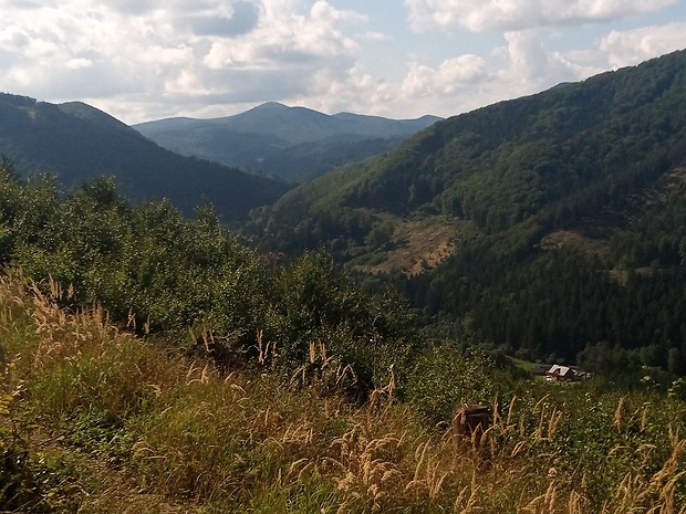 vrch Strážov 1213 m.n.m. spod vrchu Košiarka 1107 m.n.m.